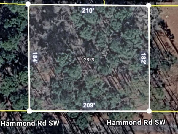 2879 SW Hammonds Road, Stockbridge, GA 30281