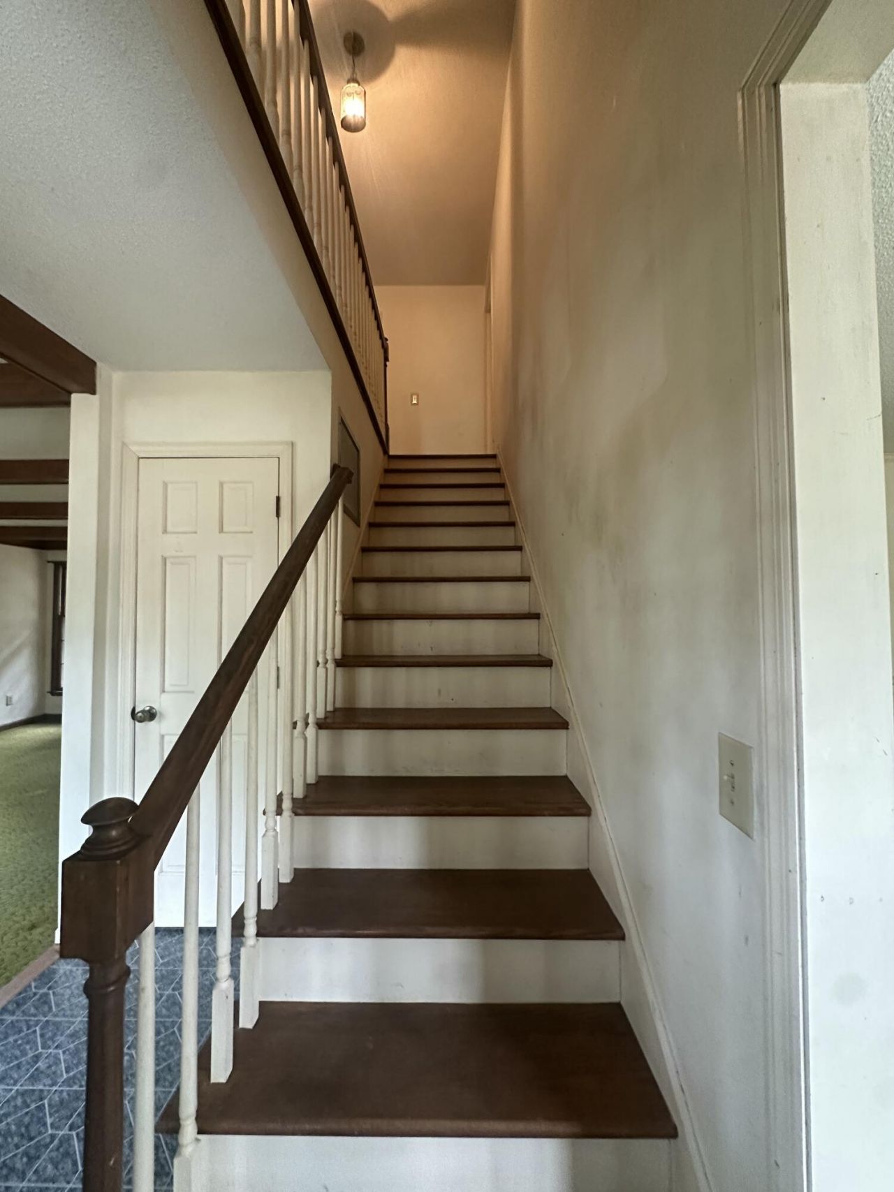 688 Pelzer Drive Photo 10