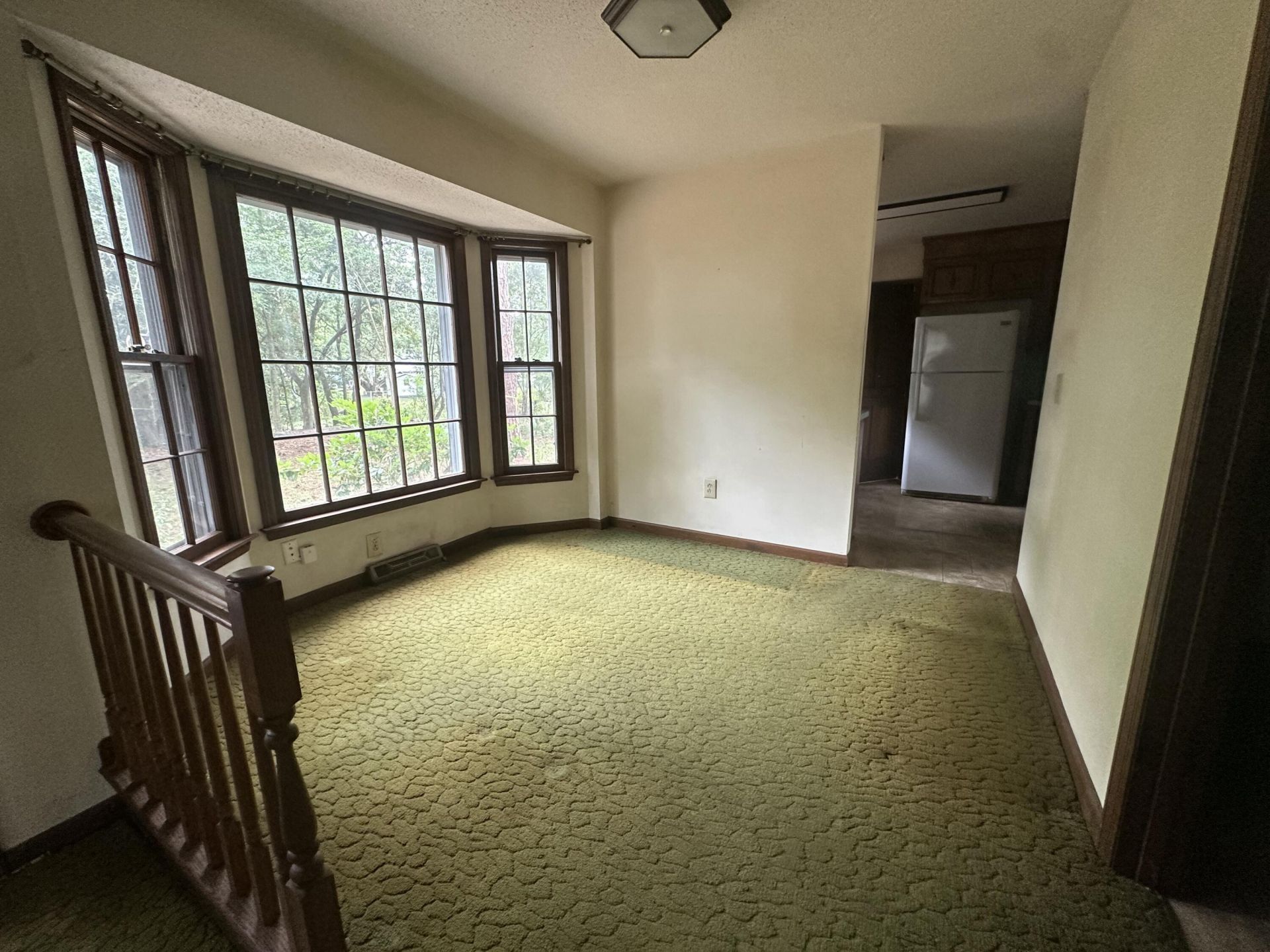 688 Pelzer Drive Photo 17