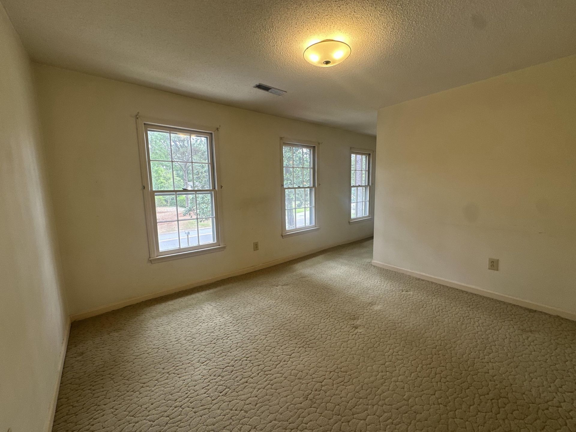688 Pelzer Drive Photo 30