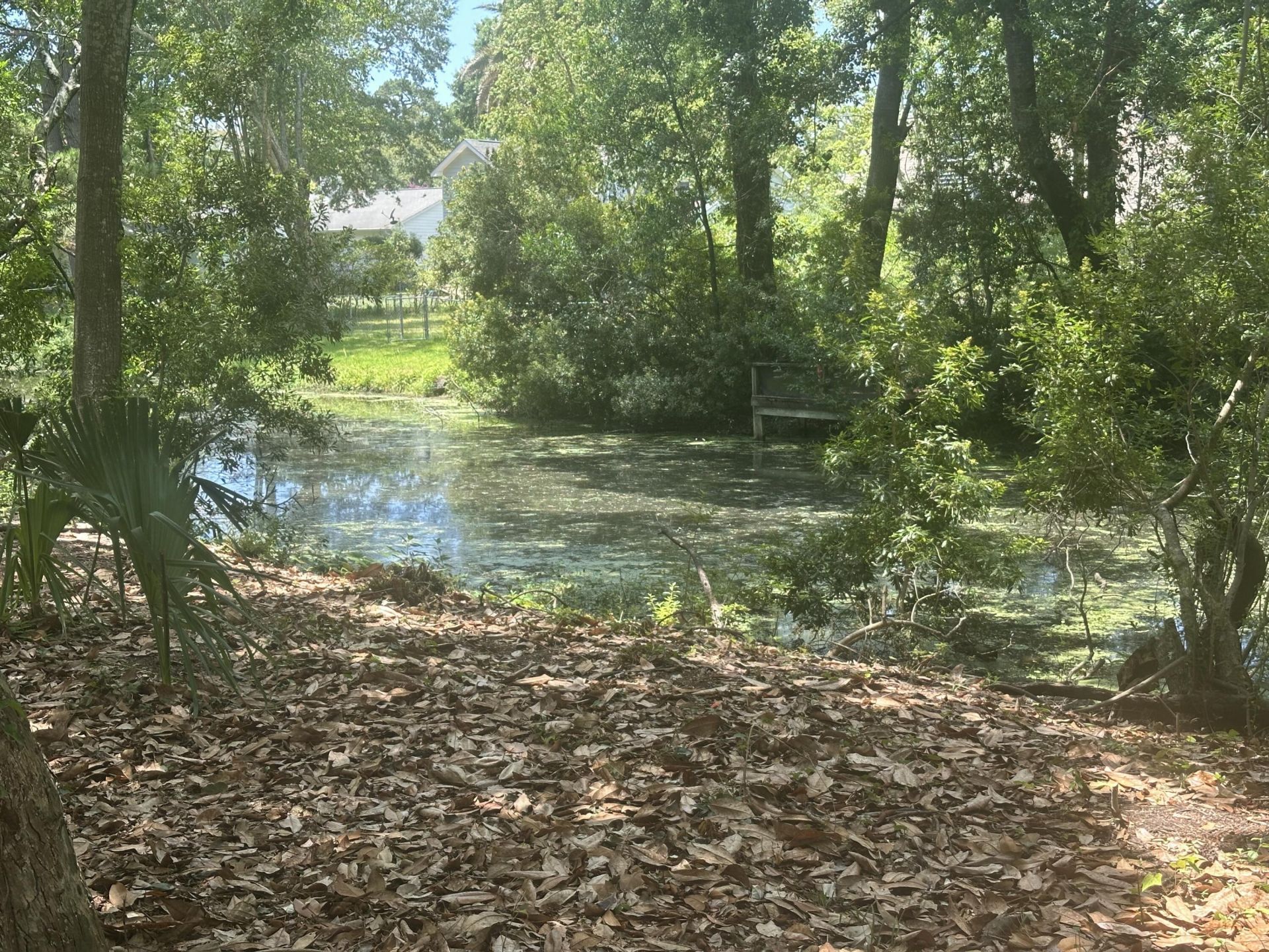 688 Pelzer Drive Photo 6