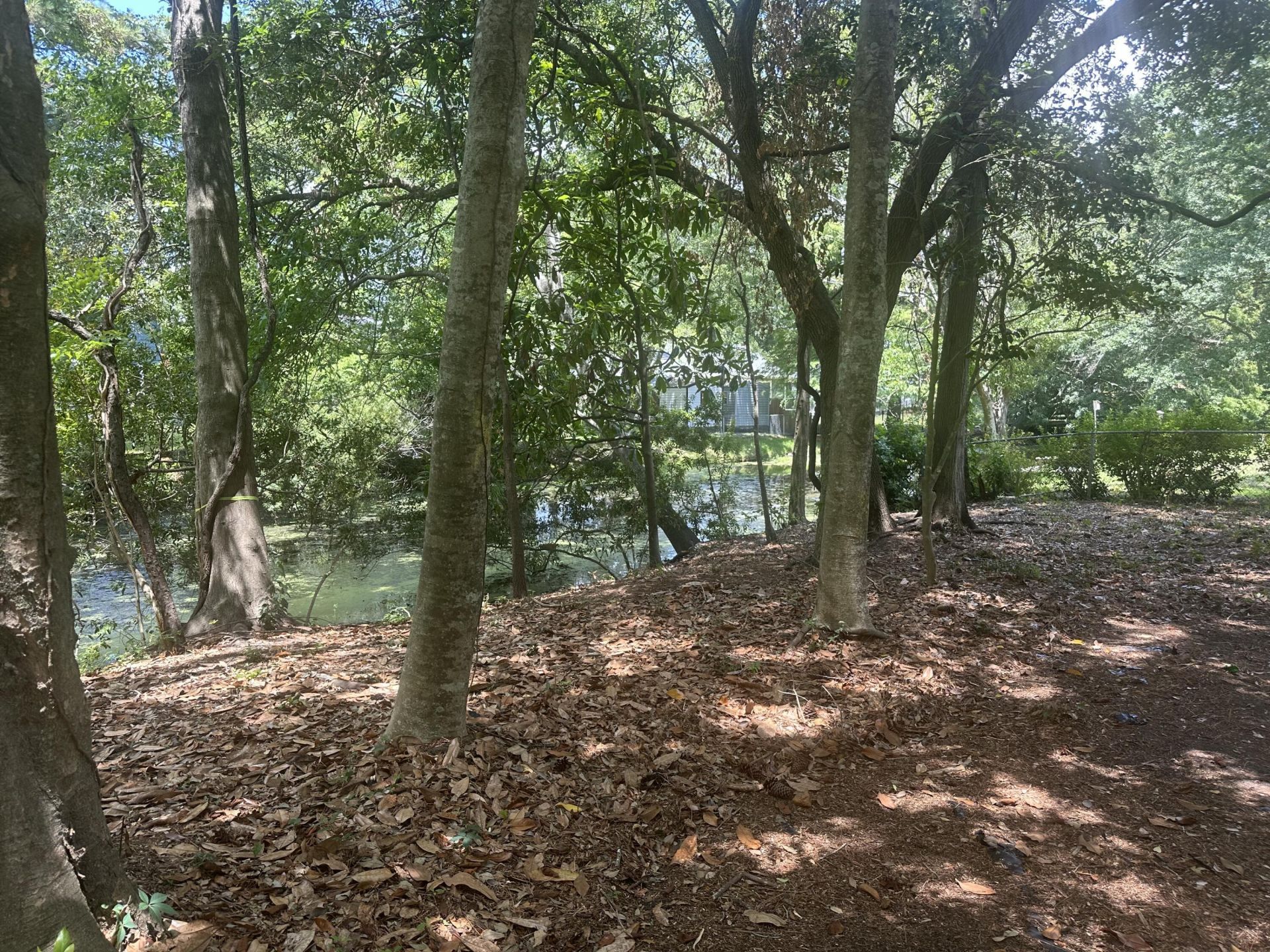 688 Pelzer Drive Photo 7