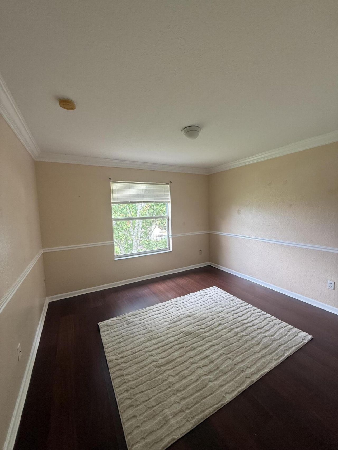 624 Garden Cress Trail, Royal Palm Beach, FL 33411 Photo