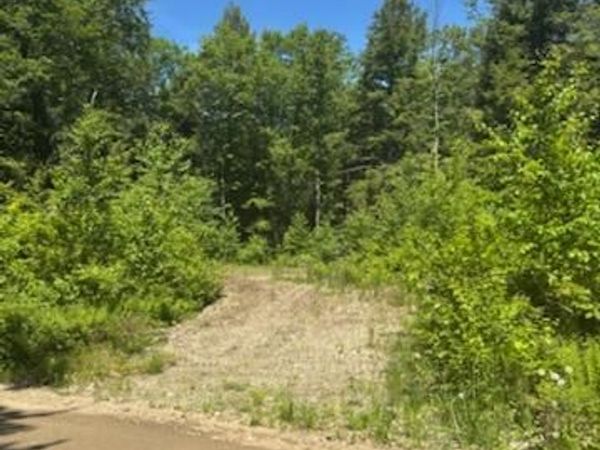 Lot 2C Brown Road , Liberty, ME 04949