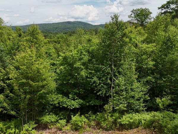 4 Youngs Road , Canton, ME 04221