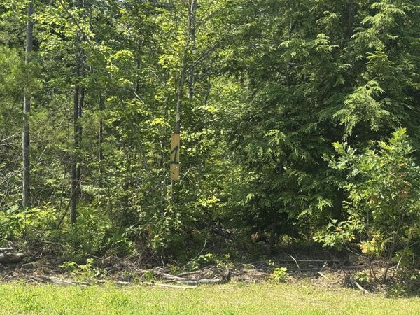 Lot 1 Young's Way, Standish, ME 04084