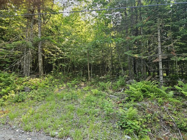 Lot 2-A Rips Road , Brownville, ME 04414