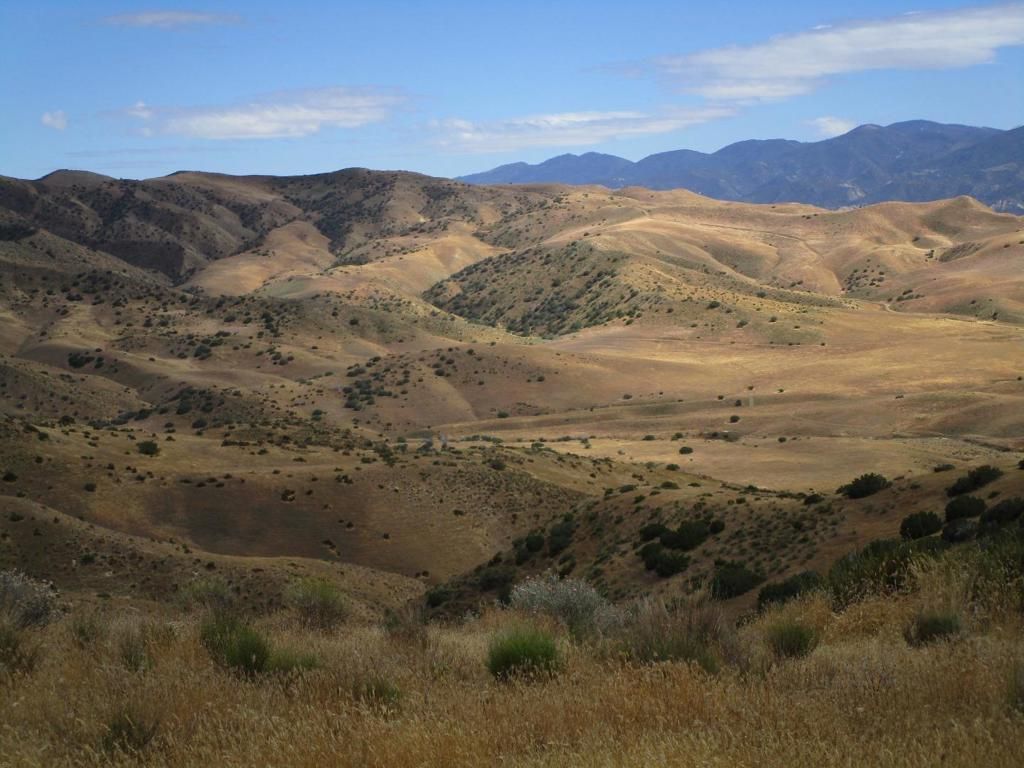 0 New Idria Road, Paicines, CA 95043 Main Photo