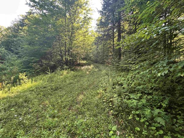 0 Rose Lane, Unit Lot #, Londonderry, VT 05148