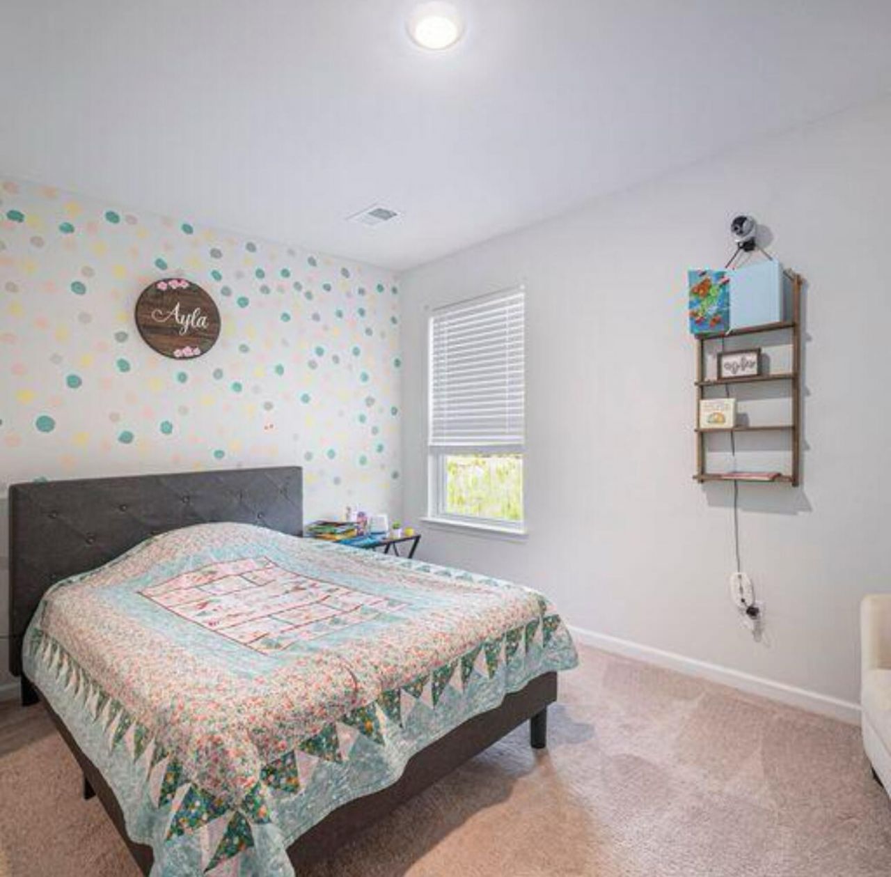 2744 Harmony Lake Drive Photo 9