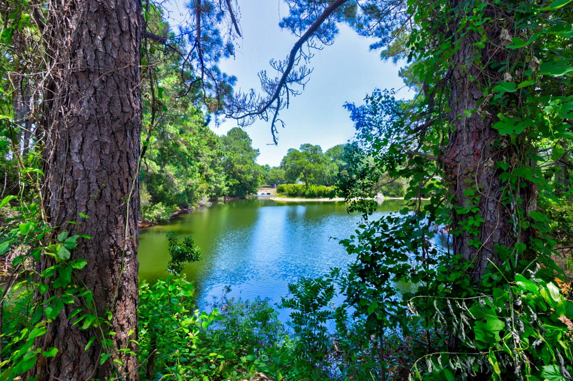 1406 Diamond Boulevard Photo 11