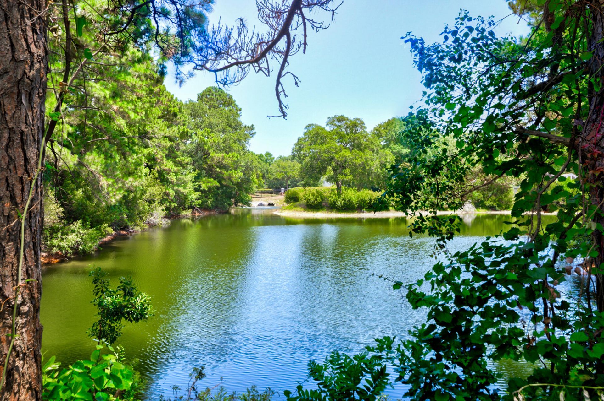 1406 Diamond Boulevard Photo 12