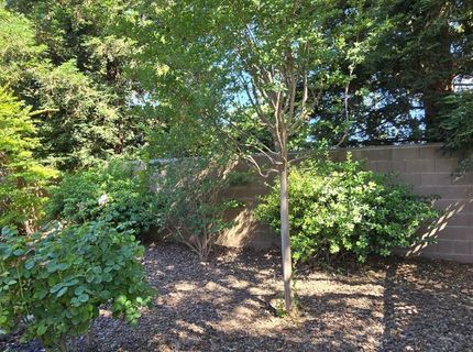 7617 School House Ln, Roseville, CA 95747 Photo