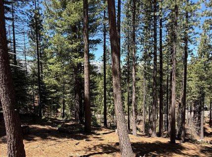 1578 Skyline Drive, South Lake Tahoe, CA 96150 Photo