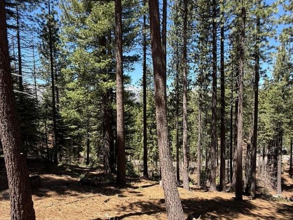 1578 Skyline Drive, South Lake Tahoe, CA 96150