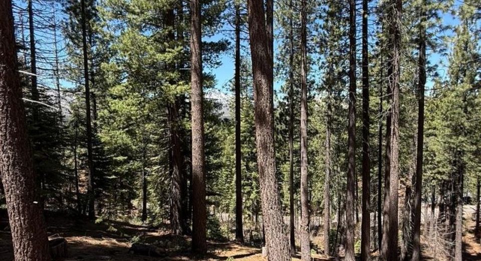 1578 Skyline Drive, South Lake Tahoe, CA 96150 Photo