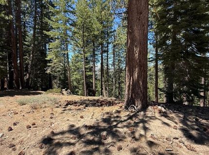 1578 Skyline Drive, South Lake Tahoe, CA 96150 Photo