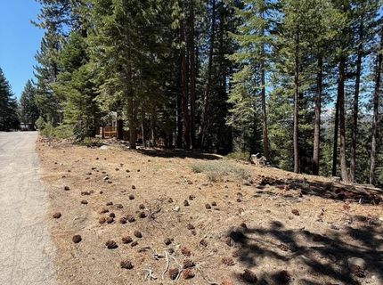 1578 Skyline Drive, South Lake Tahoe, CA 96150 Photo