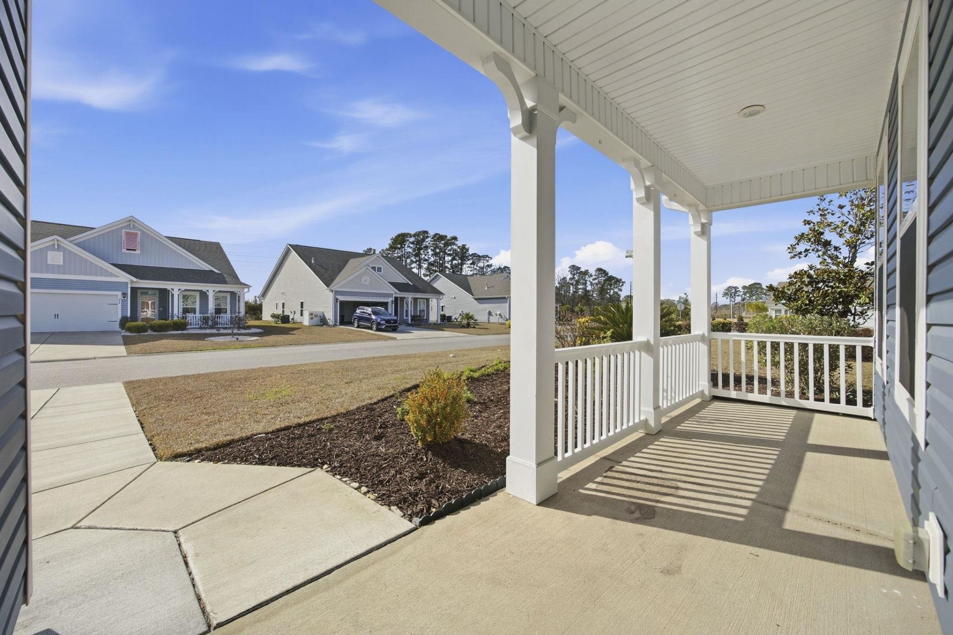 209 Angel Wing Dr. Photo 60