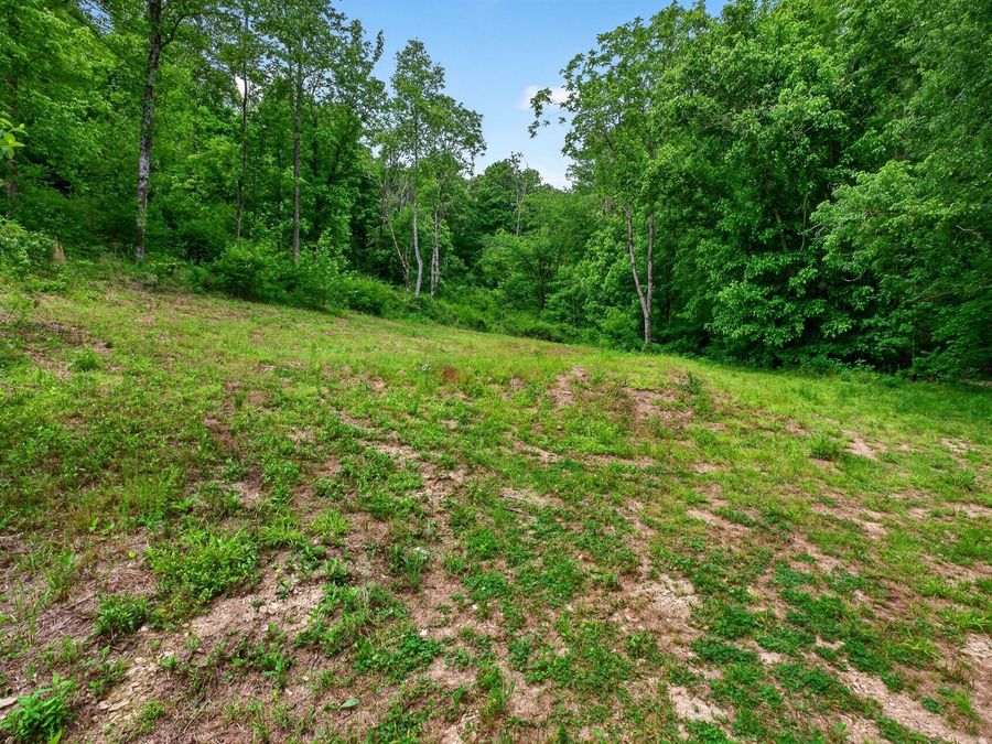 Property Image 33