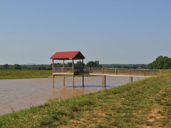 Tract 4 N Farm Road 175 , Springfield, MO 65803