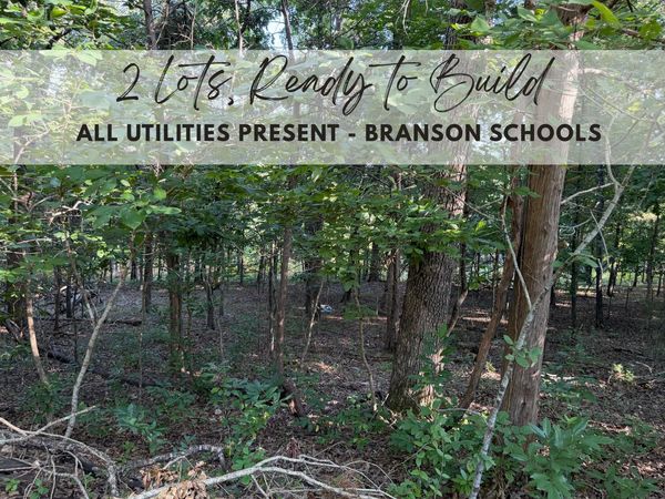 000 Wallace Drive , Rockaway Beach, MO 65740