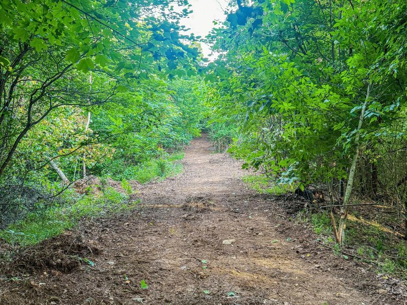0 Millers Run-Back Run Road, Lucasville, OH 45648 Photo 17