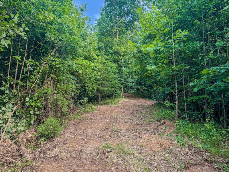 0 Millers Run-Back Run Road, Lucasville, OH 45648 Photo 19
