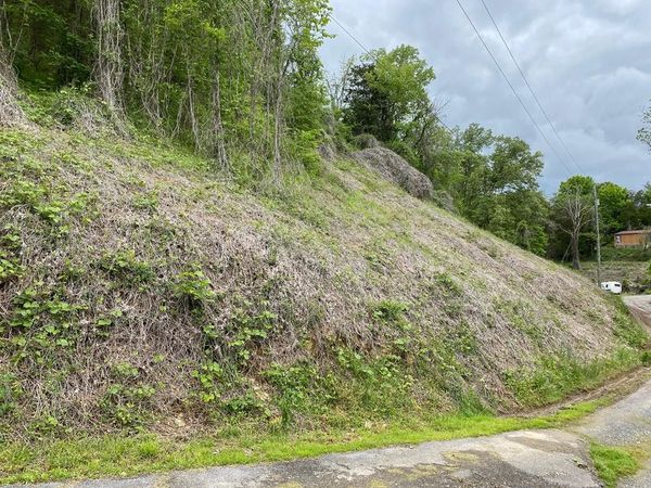 lot 4 Coveside Way, Sevierville, TN 37876