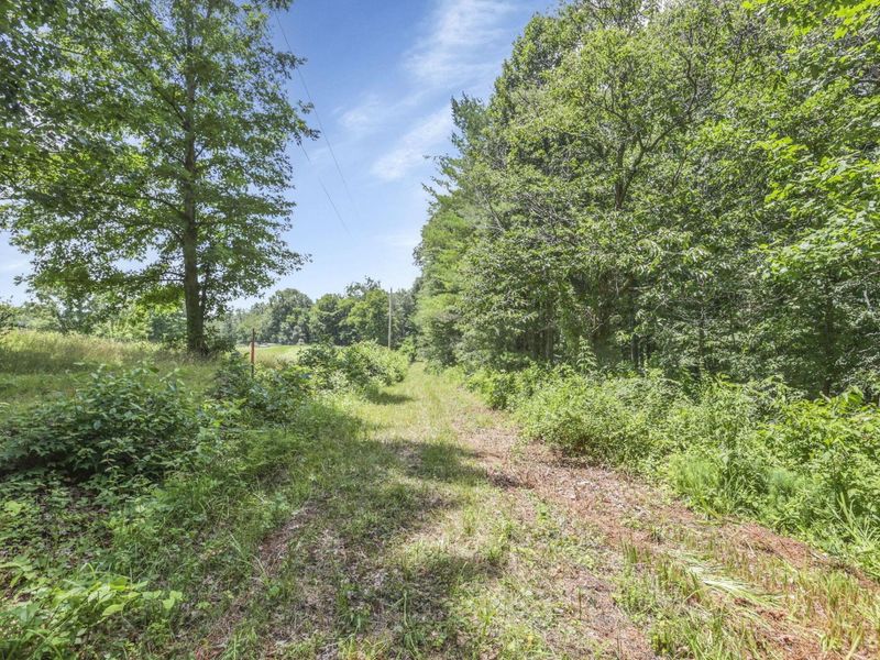 0 US Hwy 50 Highway , Unit W, Albany, OH 45710 Photo 12