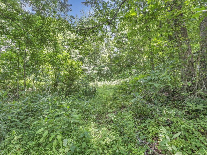 0 US Hwy 50 Highway , Unit W, Albany, OH 45710 Photo 14