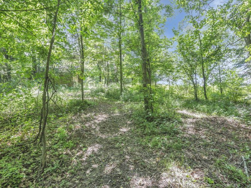0 US Hwy 50 Highway , Unit W, Albany, OH 45710 Photo 3