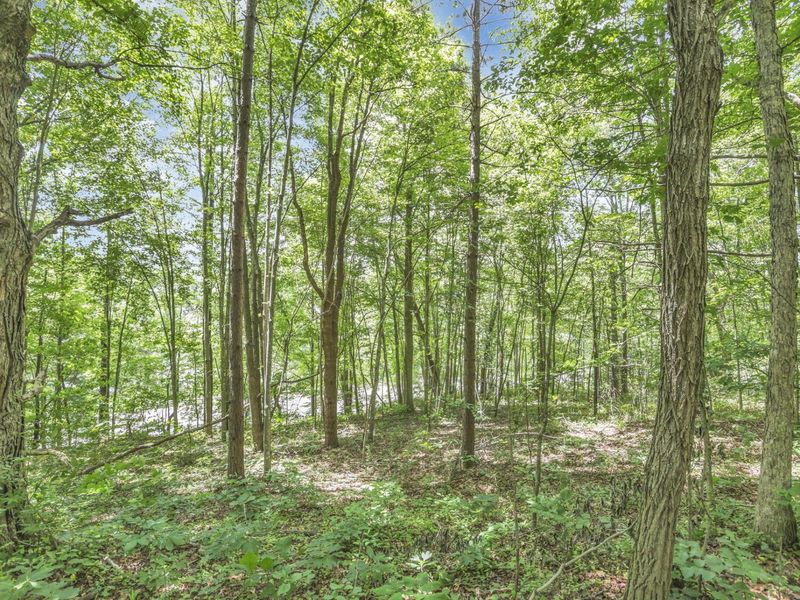 0 US Hwy 50 Highway , Unit W, Albany, OH 45710 Photo 31
