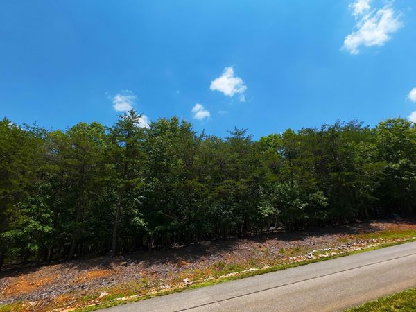 Lot 61 Garrison Ridge, Pittsville, VA 24139
