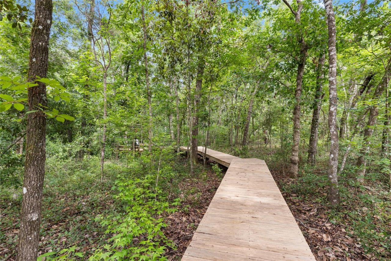 8250 Waukeenah Highway , Monticello, FL 32344 Photo