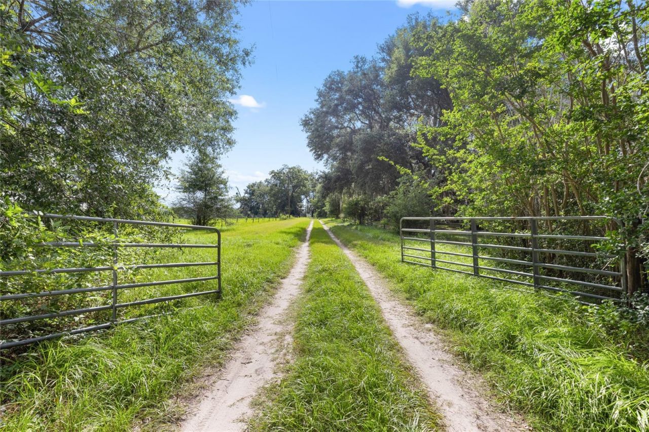 8250 Waukeenah Highway , Monticello, FL 32344 Photo