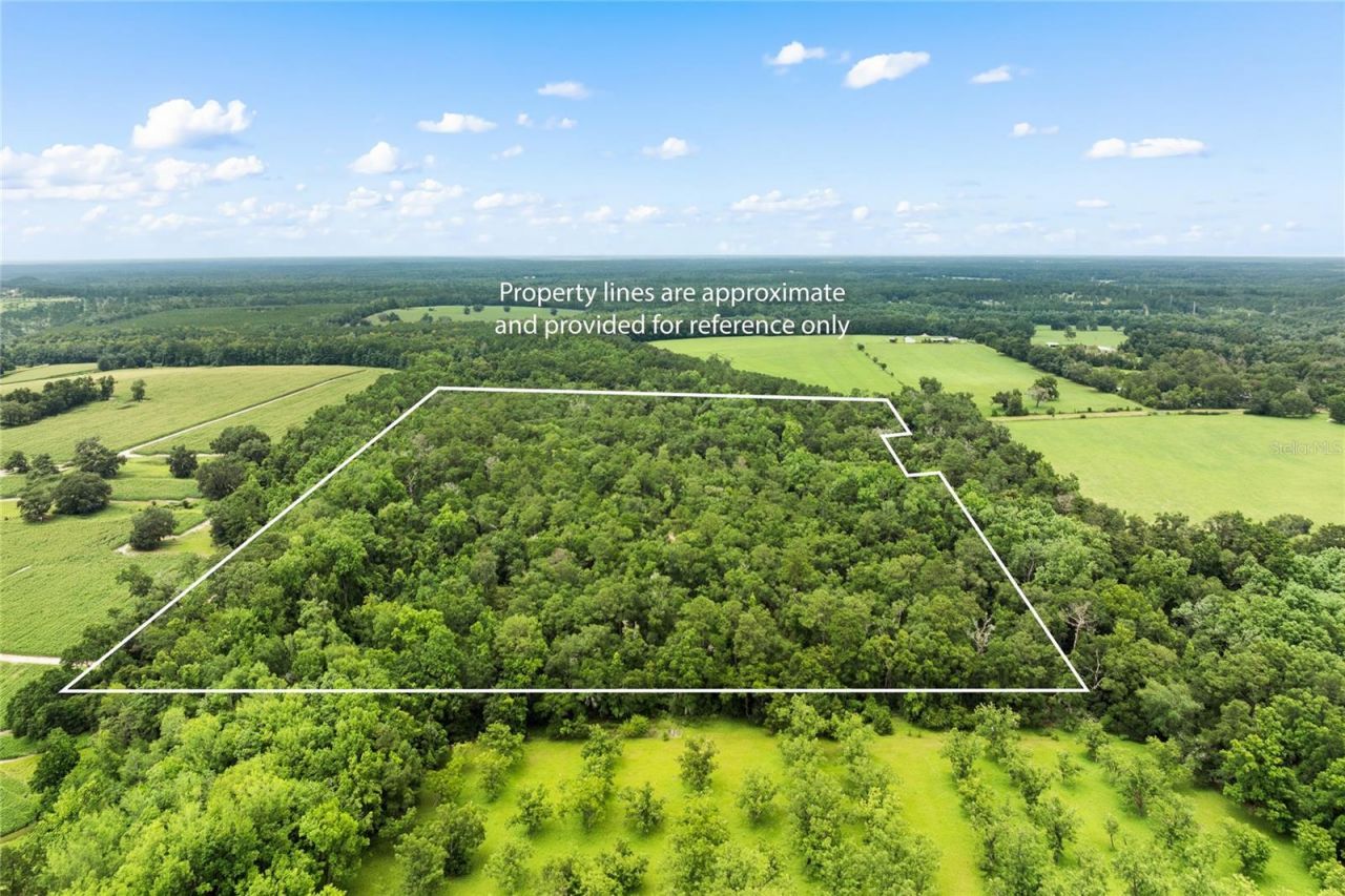 8250 Waukeenah Highway , Monticello, FL 32344 Photo