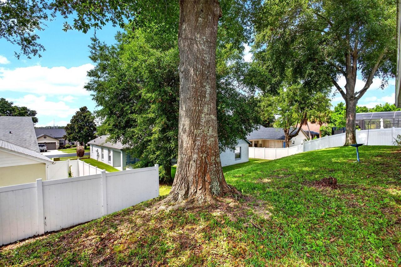 2689 Sunbury St, Clermont, FL 34711 Photo