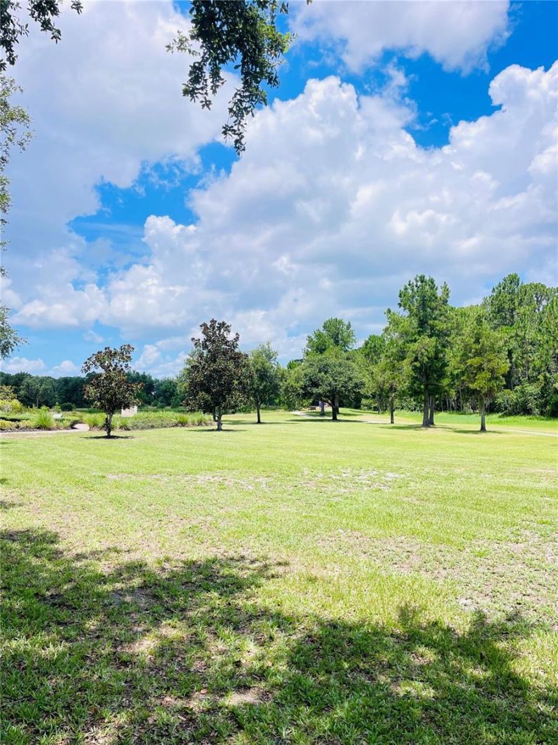 3485 Middlebrook Place, Harmony, FL 34773 Photo