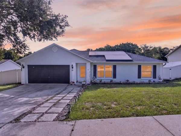 919 ARBOR HILL CIR , MINNEOLA, FL 34715