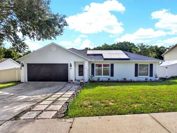 919 ARBOR HILL CIR , MINNEOLA, FL 34715