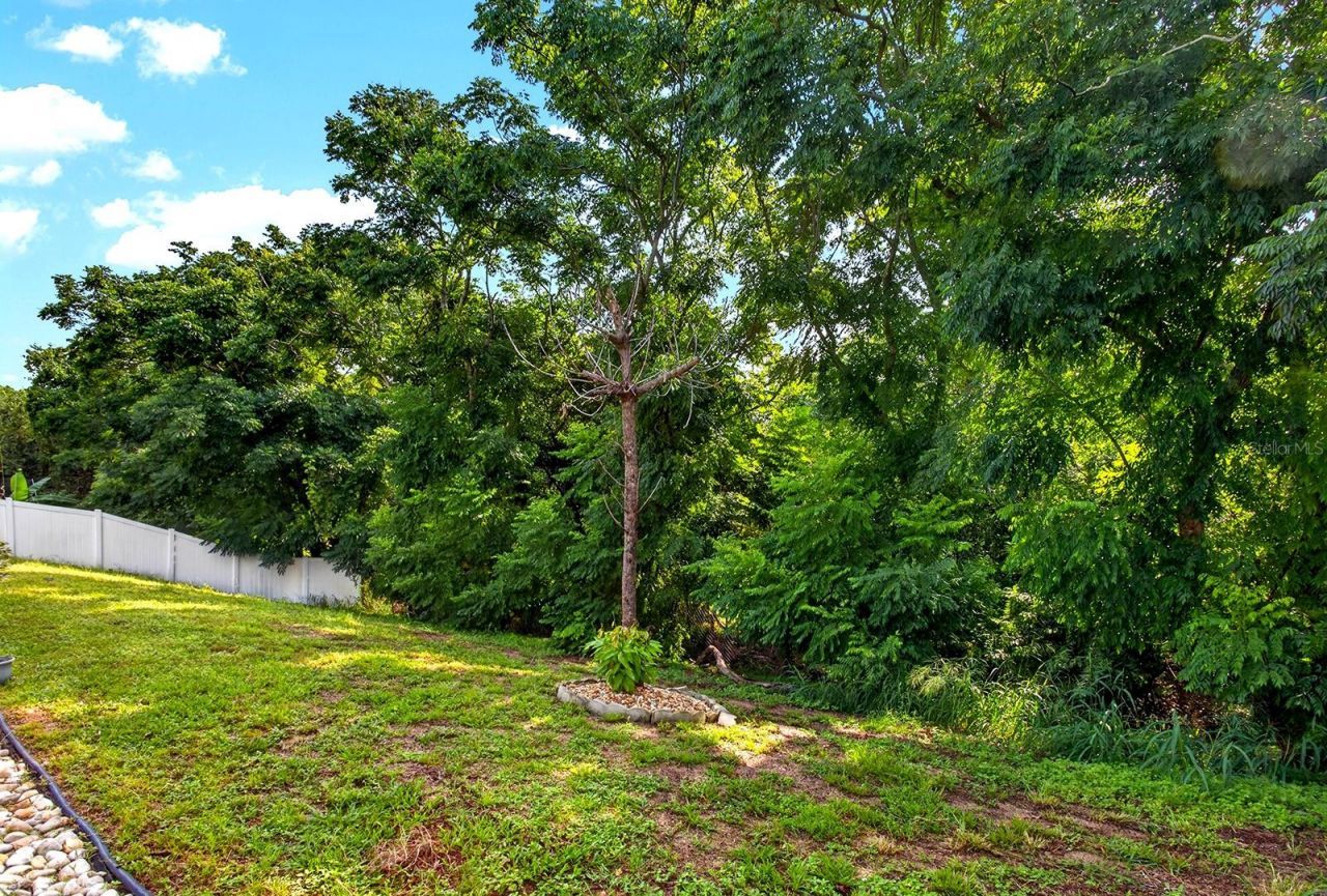 919 Arbor Hill Cir , Minneola, FL 34715 Photo
