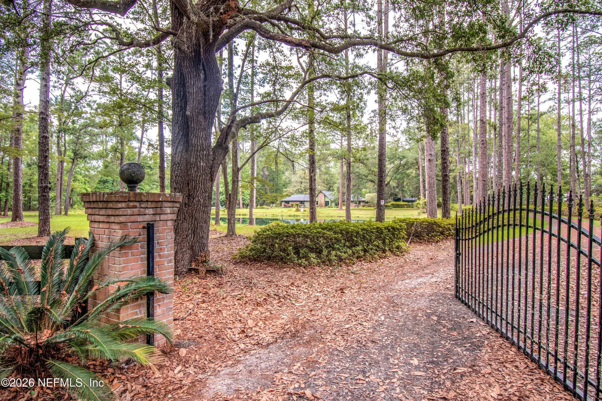 13911 Cedar Creek Drive, Sanderson, FL 32087 Photo