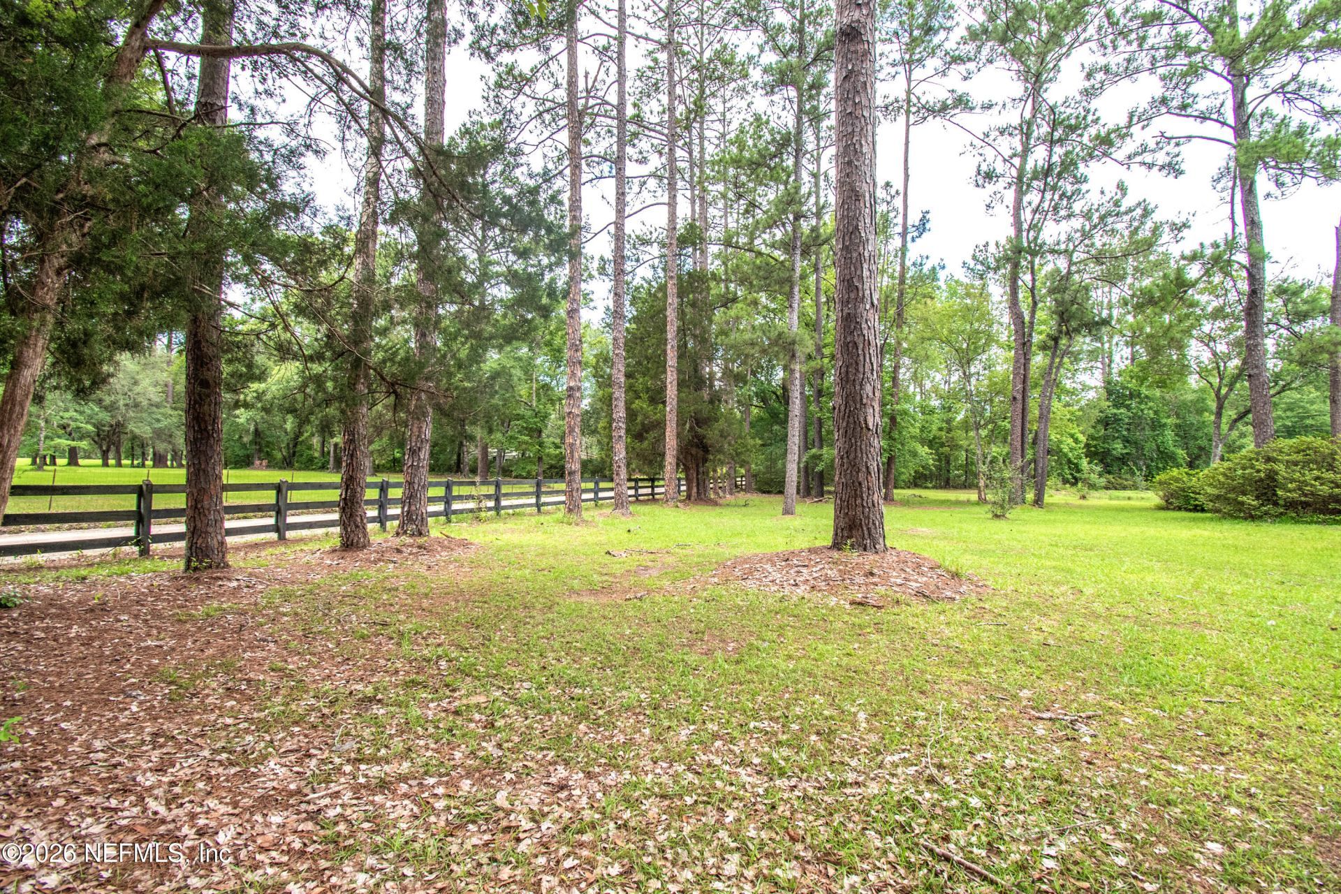 13911 Cedar Creek Drive, Sanderson, FL 32087 Photo