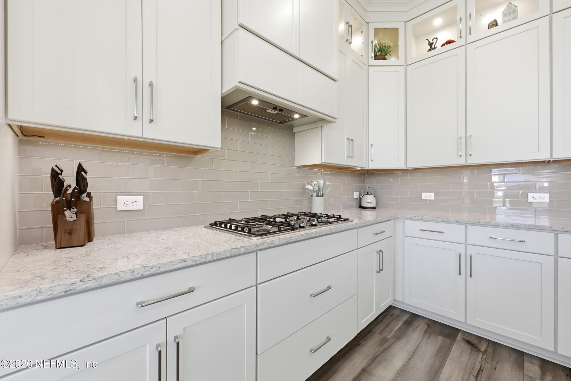 3053 Fiera Vista Drive, Jacksonville, FL 32246 Photo