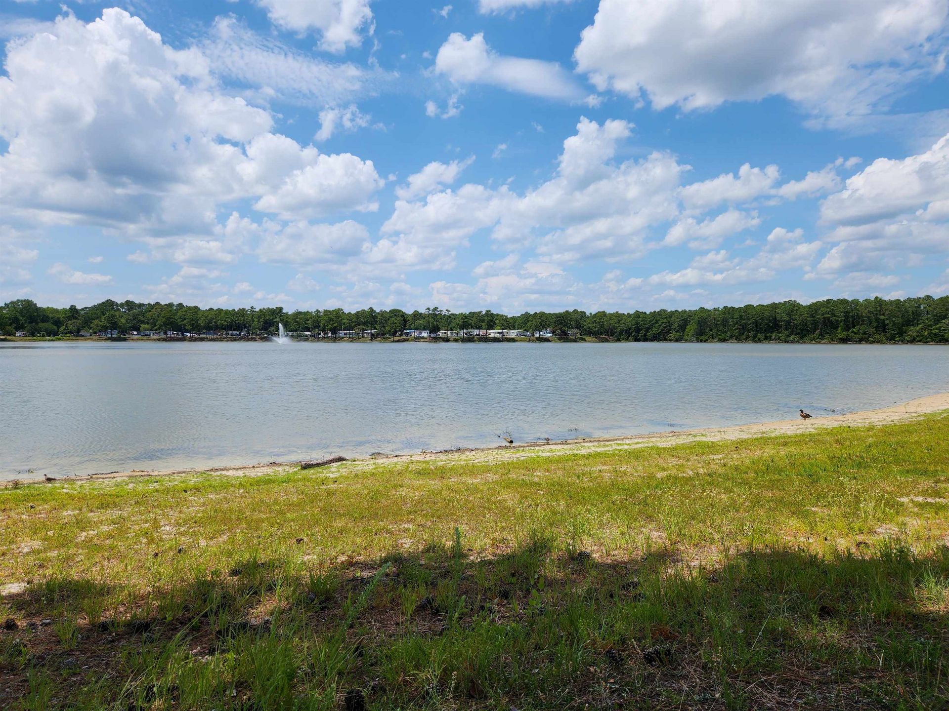 1520 Scorpio Ln. Photo 32