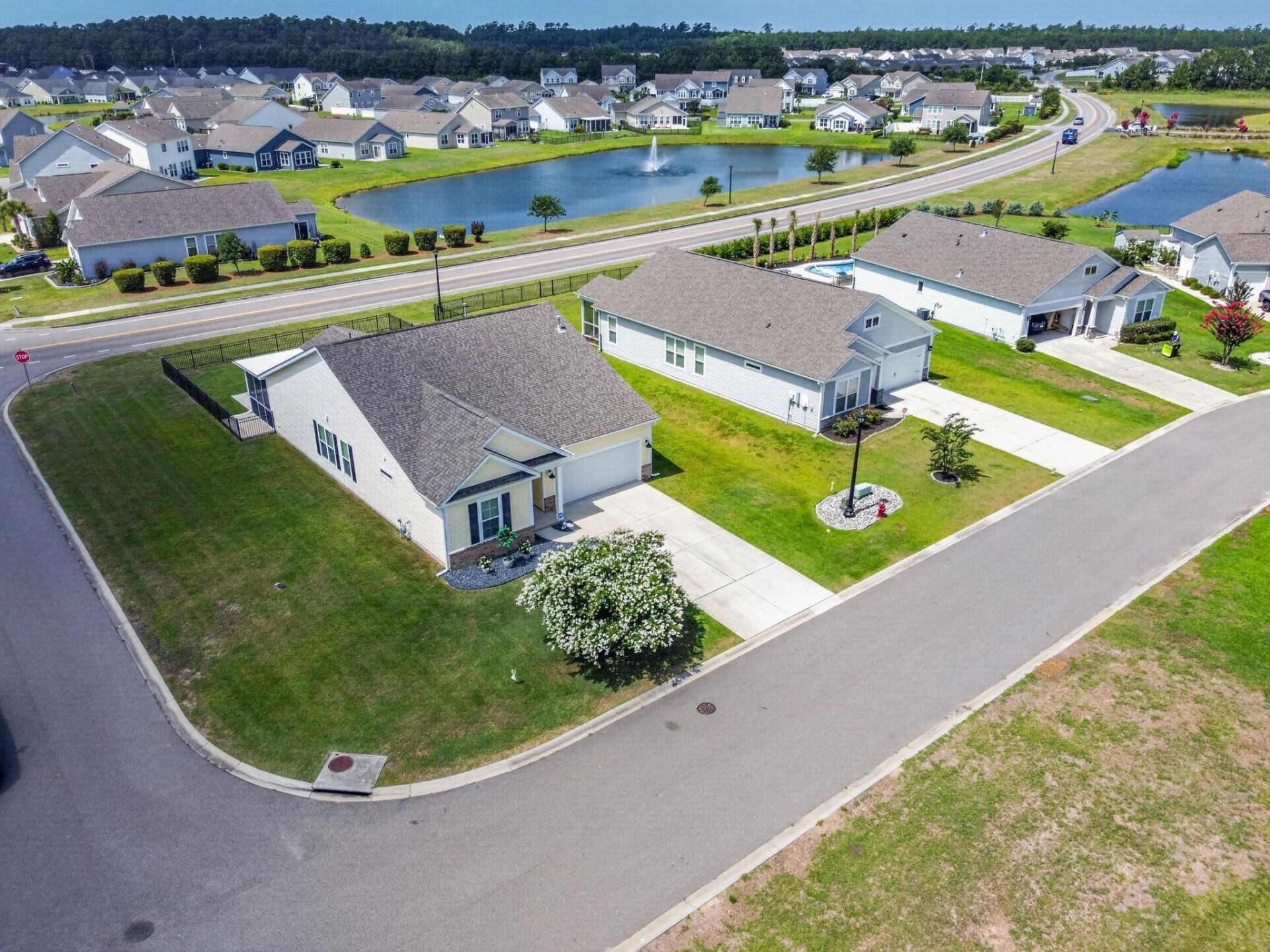 1346 Tessera Way  Photo 5