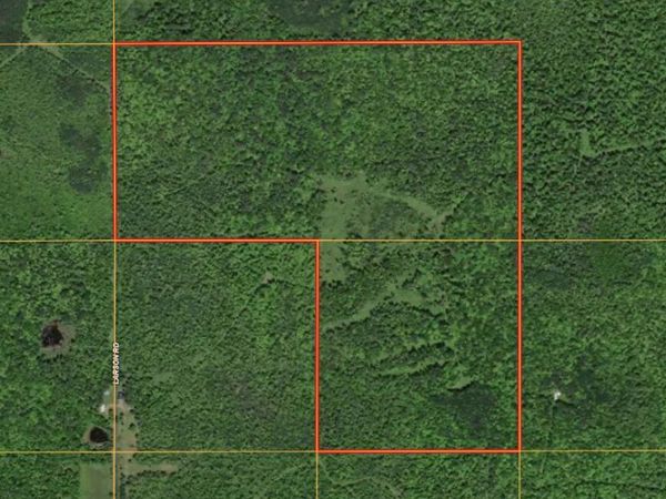V/L Larson Road, Bruce Crossing, MI 49912