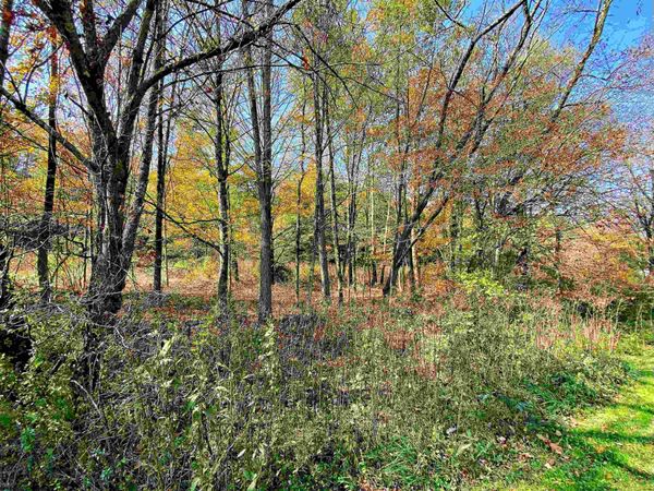 TBD Blizzard Gate Road, Harman, WV 26270