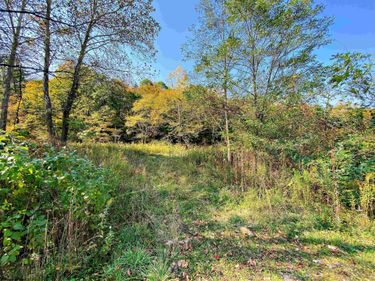 TBD Blizzard Gate Road, Harman, WV 26270